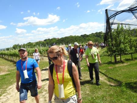 Pomlad v prleških goricah 2017 115